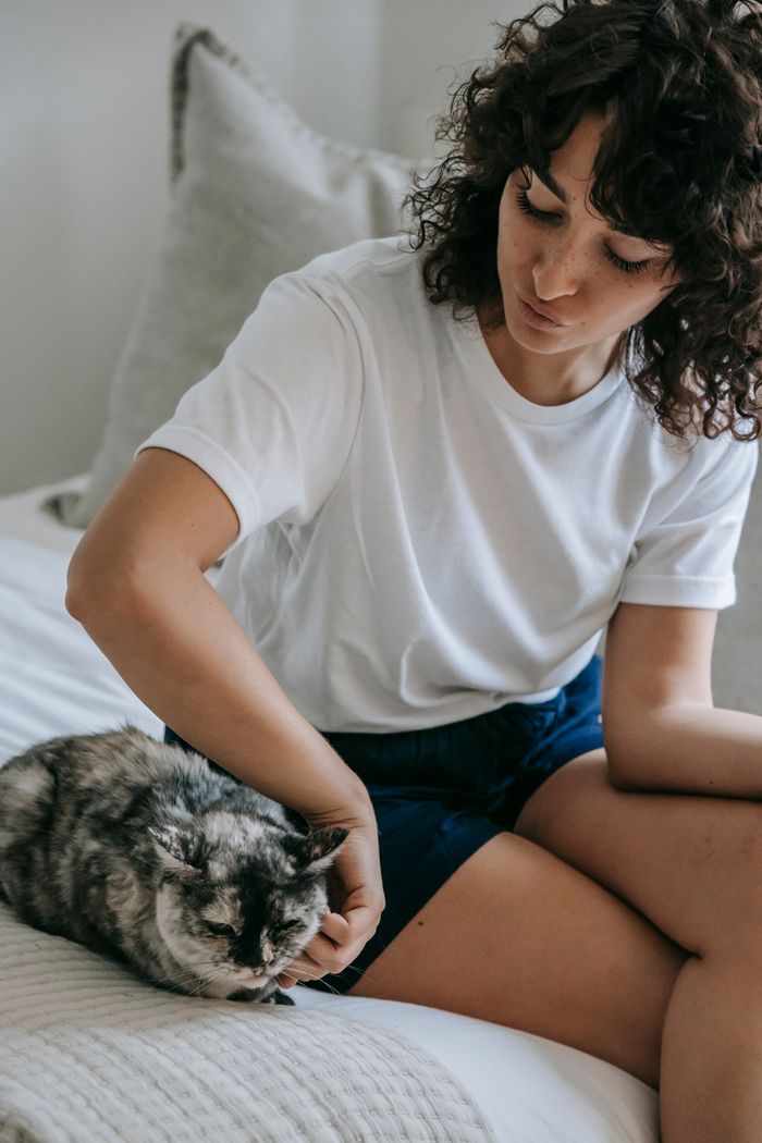 Contact Crop young female with black curly hair wearing casual outfit sitting on soft bed and stroking adorable fluffy cat in light bedroom