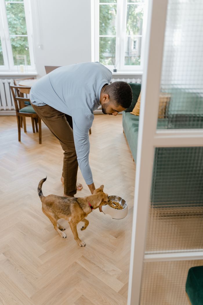 The Art of Drawing Readers In: Your attractive post title goes here A man feeding his dog in a bright and cozy living room with natural light.